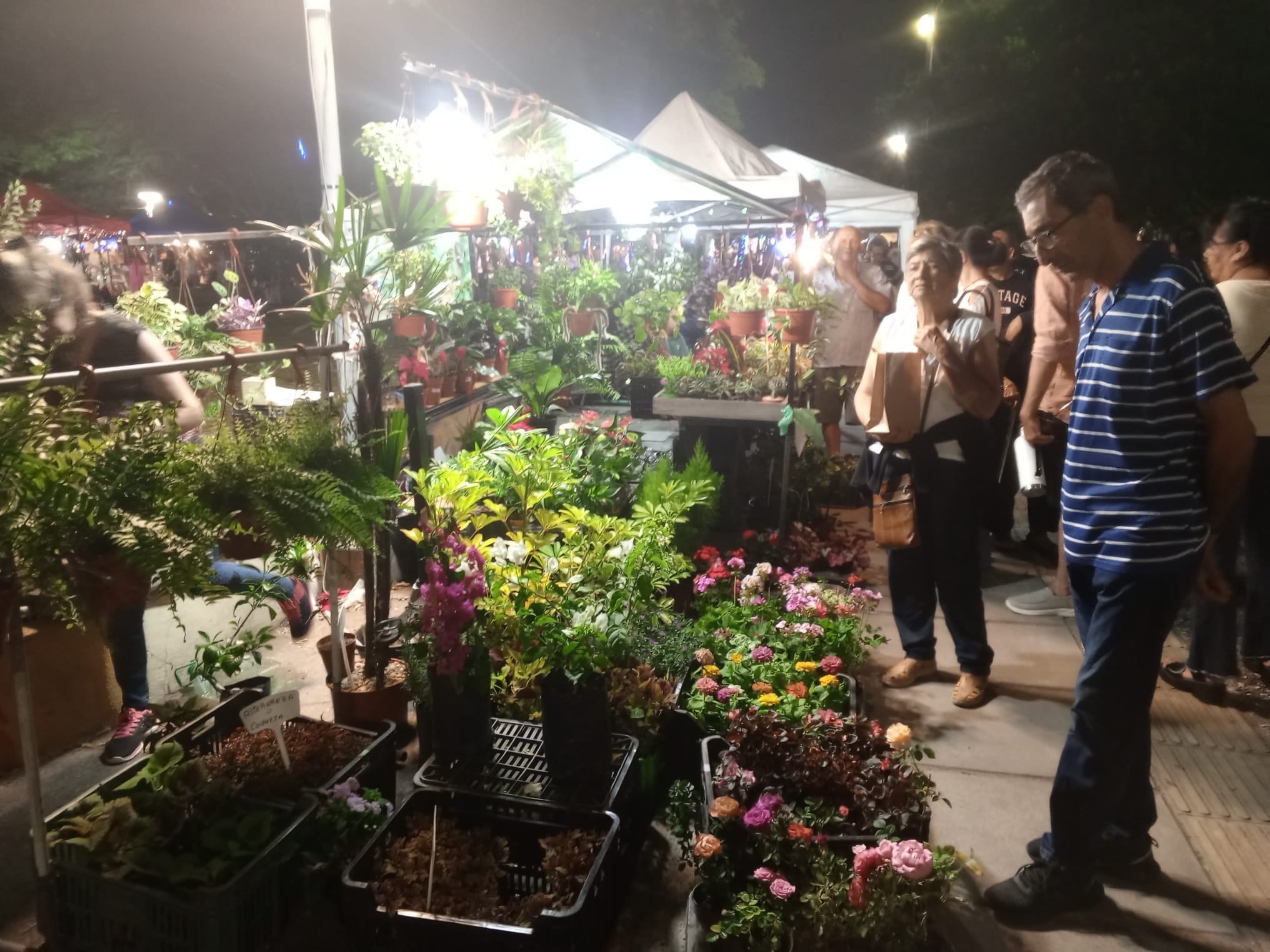 Los floridenses disfrutaron de la Feria Nocturna Navideña en Plaza Artigas