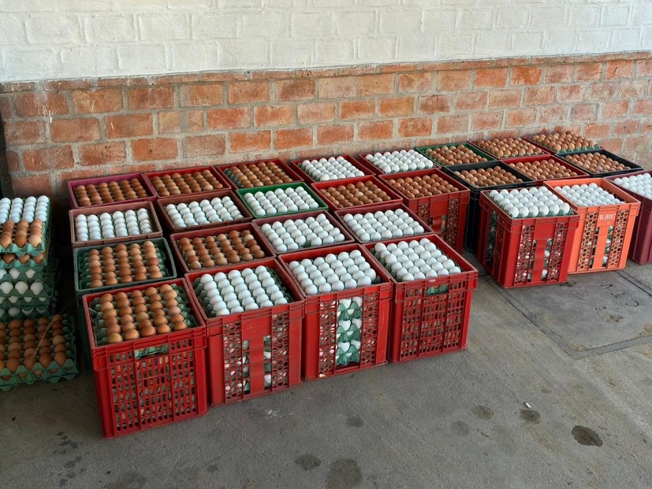 Mercaderia de contrabando incautada