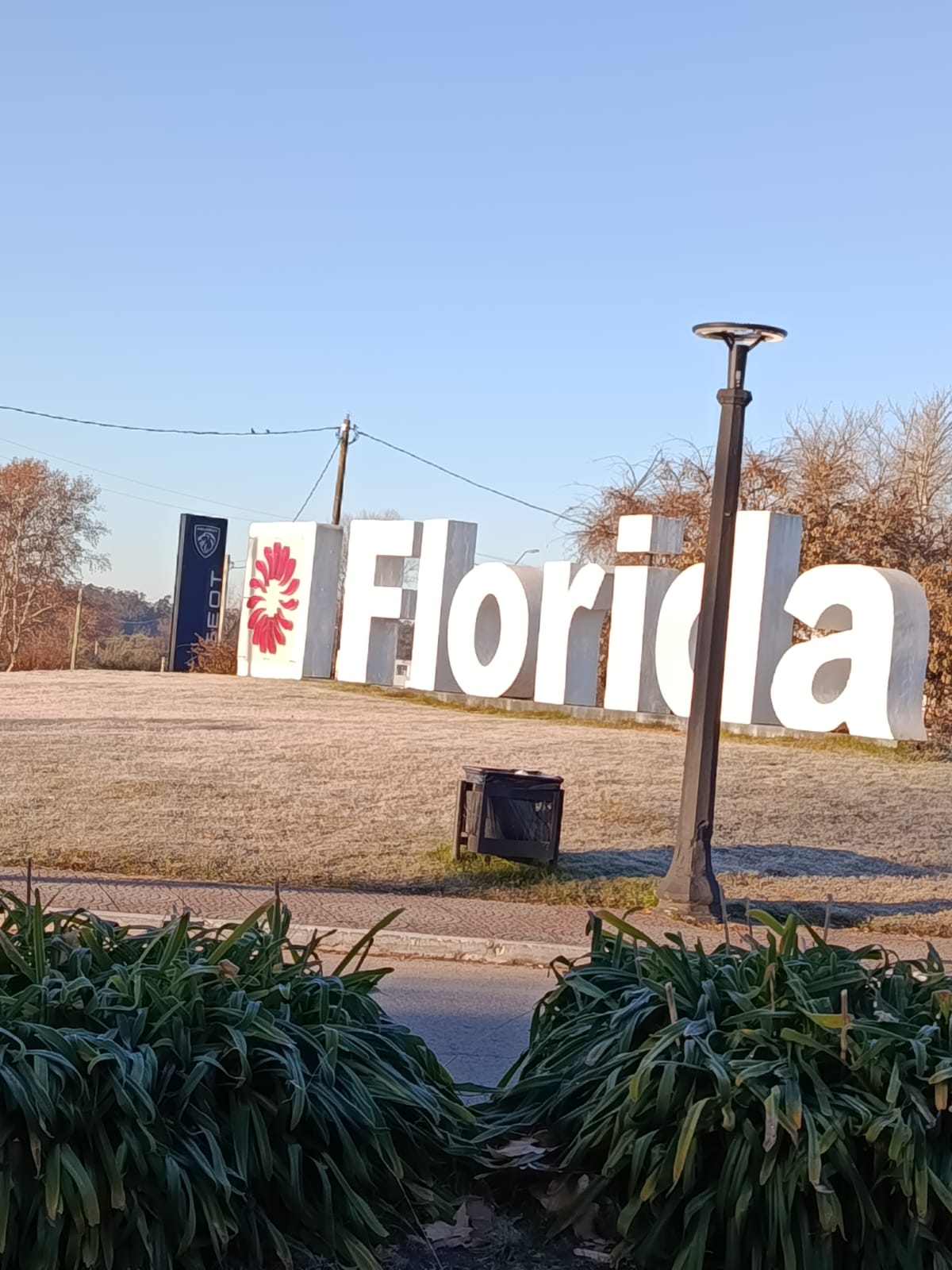 Oyentes compartieron imágenes de la helada