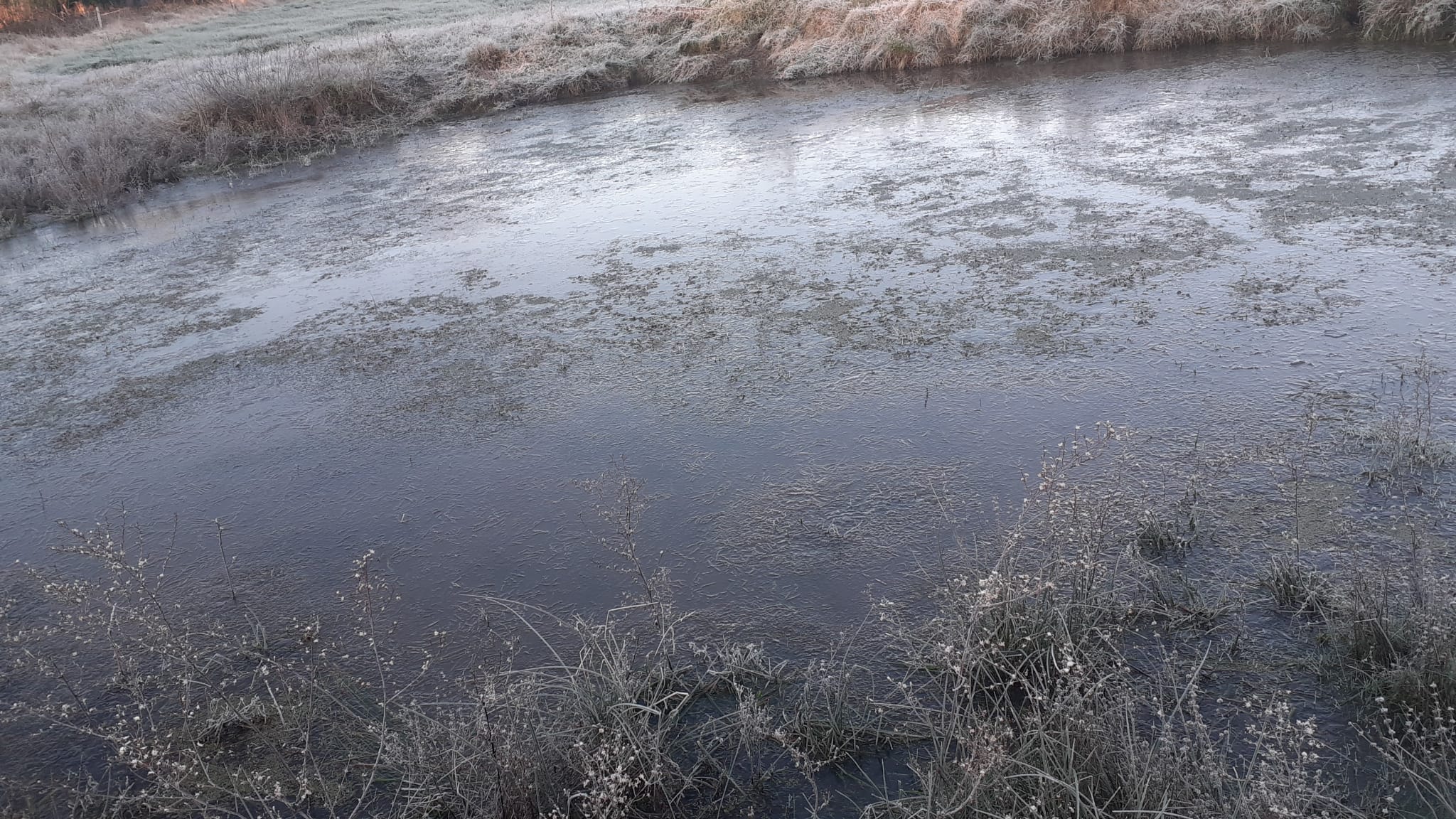 Oyentes compartieron imágenes de la helada 2