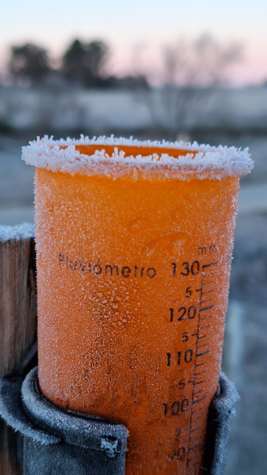 Oyentes compartieron imágenes de la helada 4