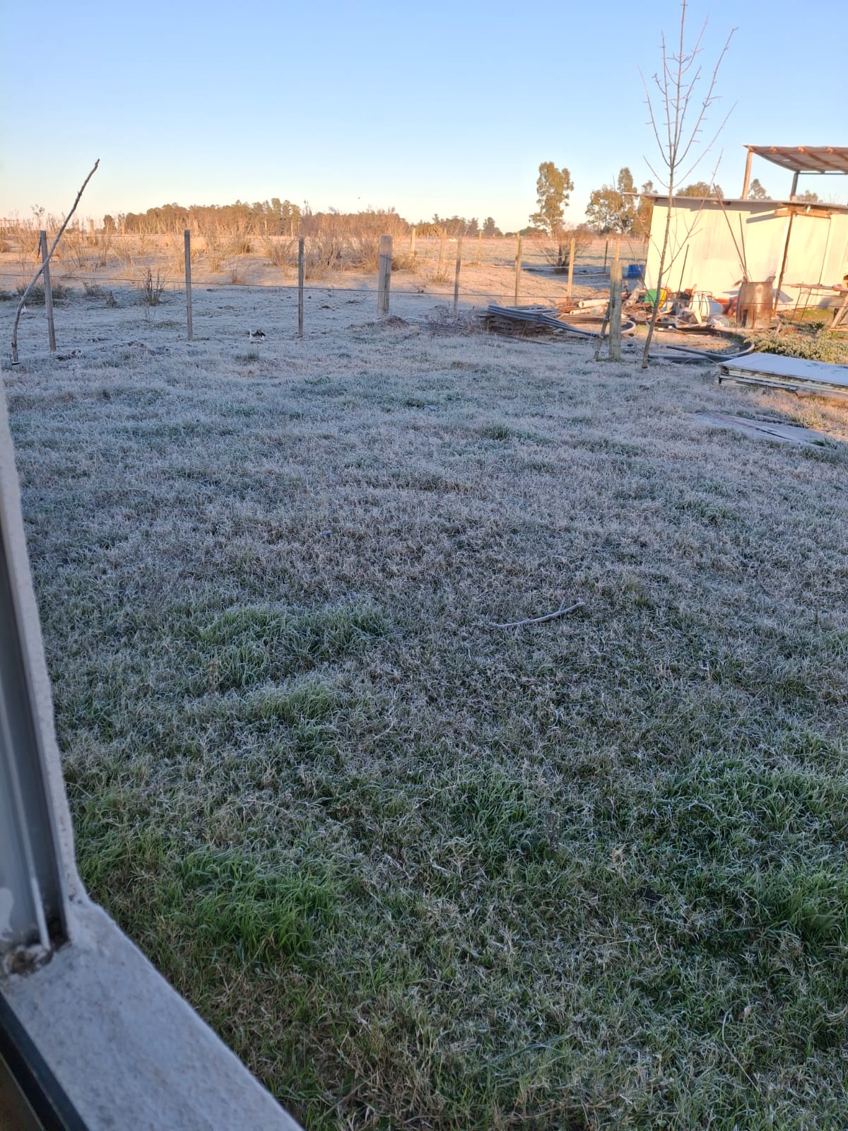 Oyentes compartieron imágenes de la helada 5