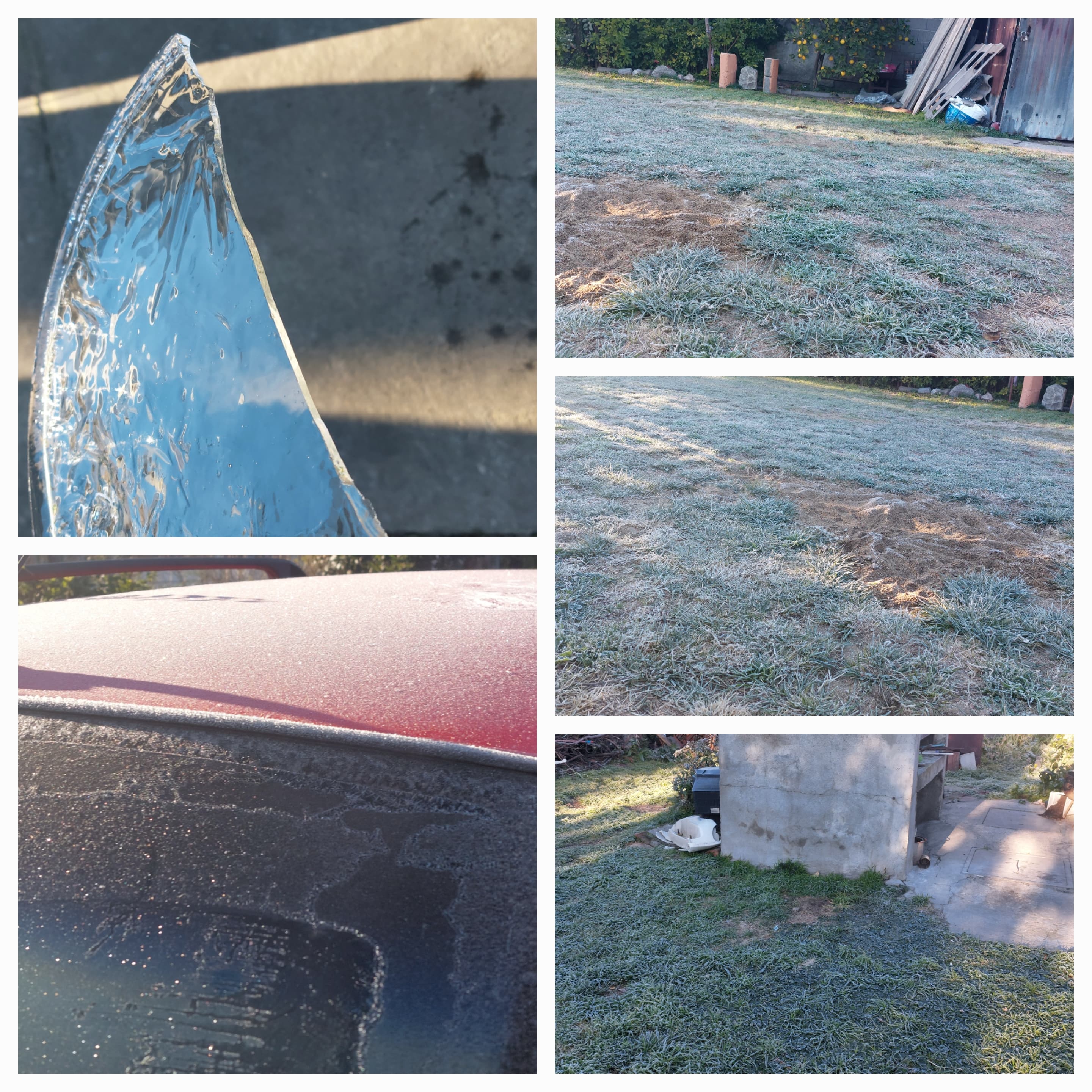 Oyentes compartieron imágenes de la helada 7