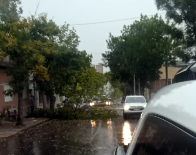 Se registraron fuertes vientos en nuestra ciudad