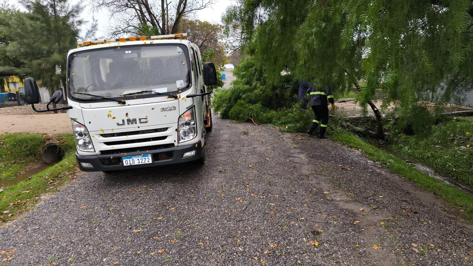 Temporal afectó la localidad de Cardal 4