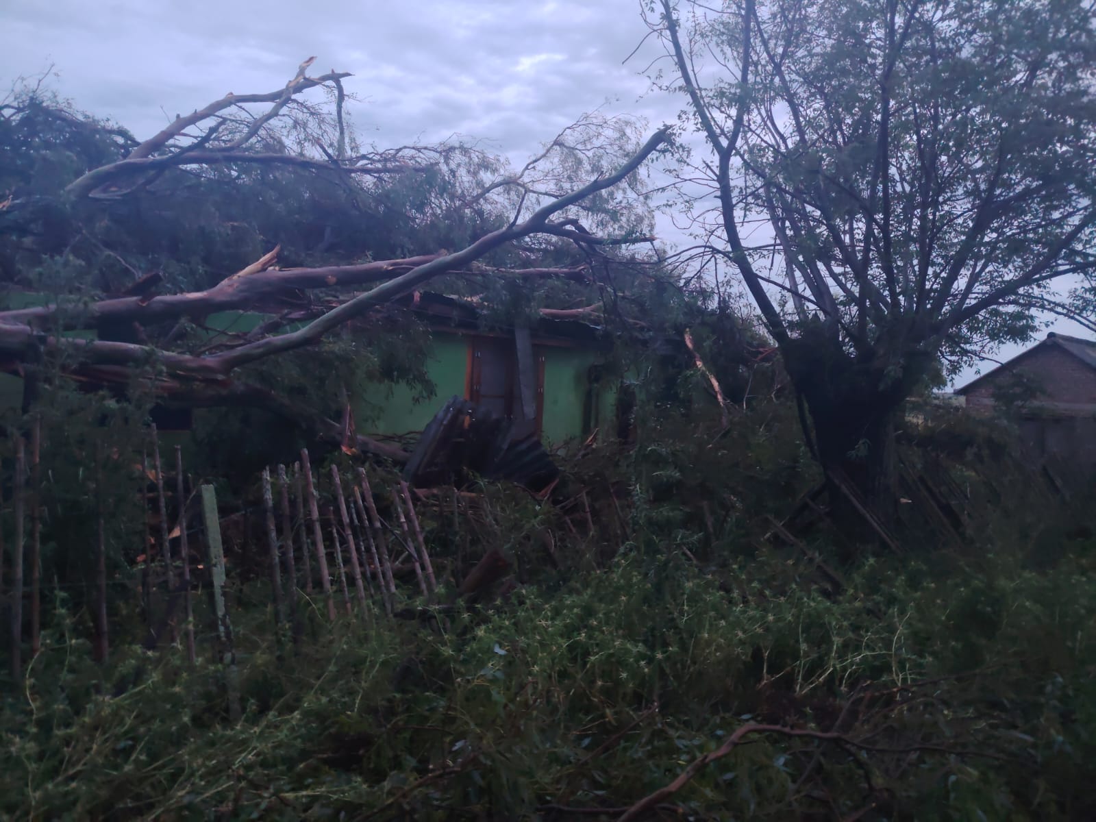 Temporal de lluvia y viento afectó varias zonas de Florida