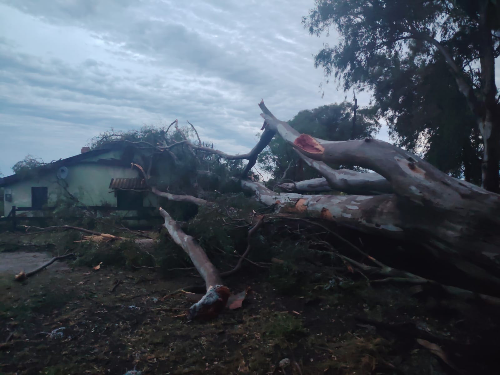 Temporal de lluvia y viento afectó varias zonas de Florida 2
