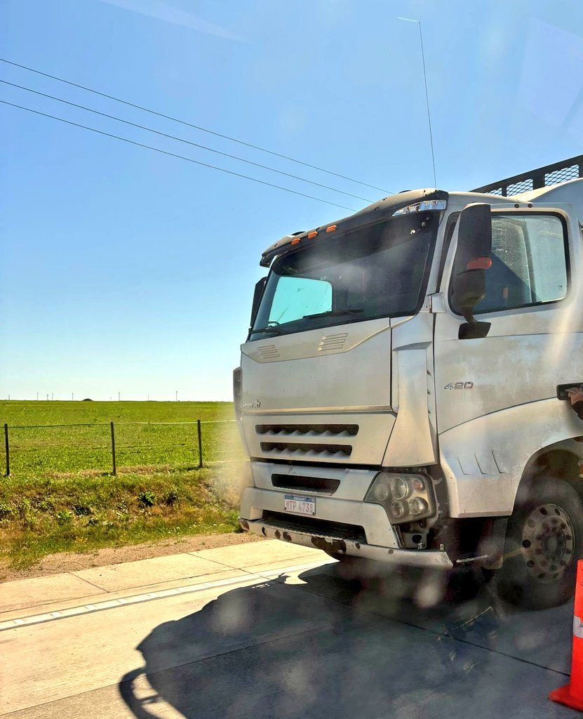 Zorra de camión cargado con palos volcó en Km 87 de ruta 5