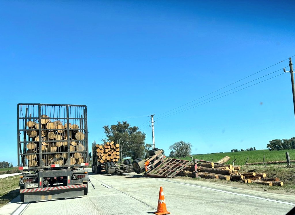 Zorra de camión cargado con palos volcó en Km 87 de ruta 51