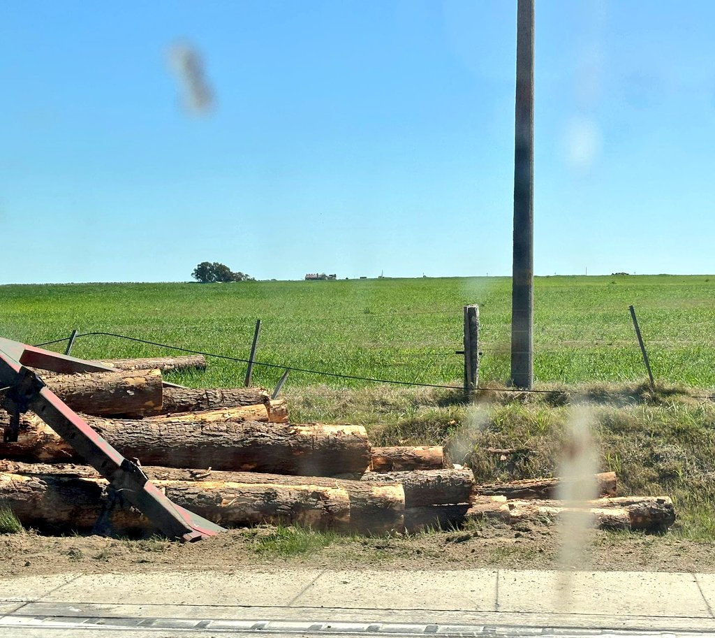 Zorra de camión cargado con palos volcó en Km 87 de ruta 52