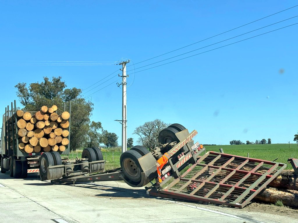 Zorra de camión cargado con palos volcó en Km 87 de ruta 53