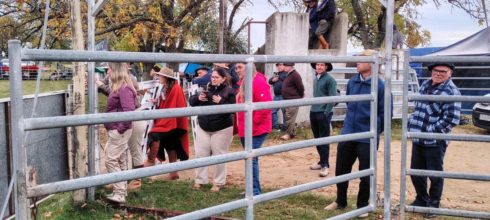 La_Rural_recibió_una_nueva_edición_de_la_Fiesta_Criolla_organizada_por_Unidos_por_la_Tradición_5.jpeg