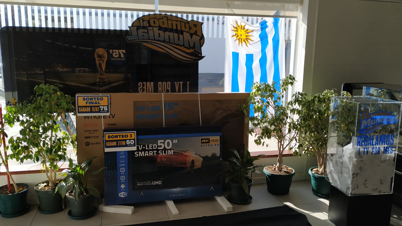 Rumbo_al_Mundial_Nuevo_sorteo_de_la_campaña_de_Carnes_Plaza_Italia._2.jpeg