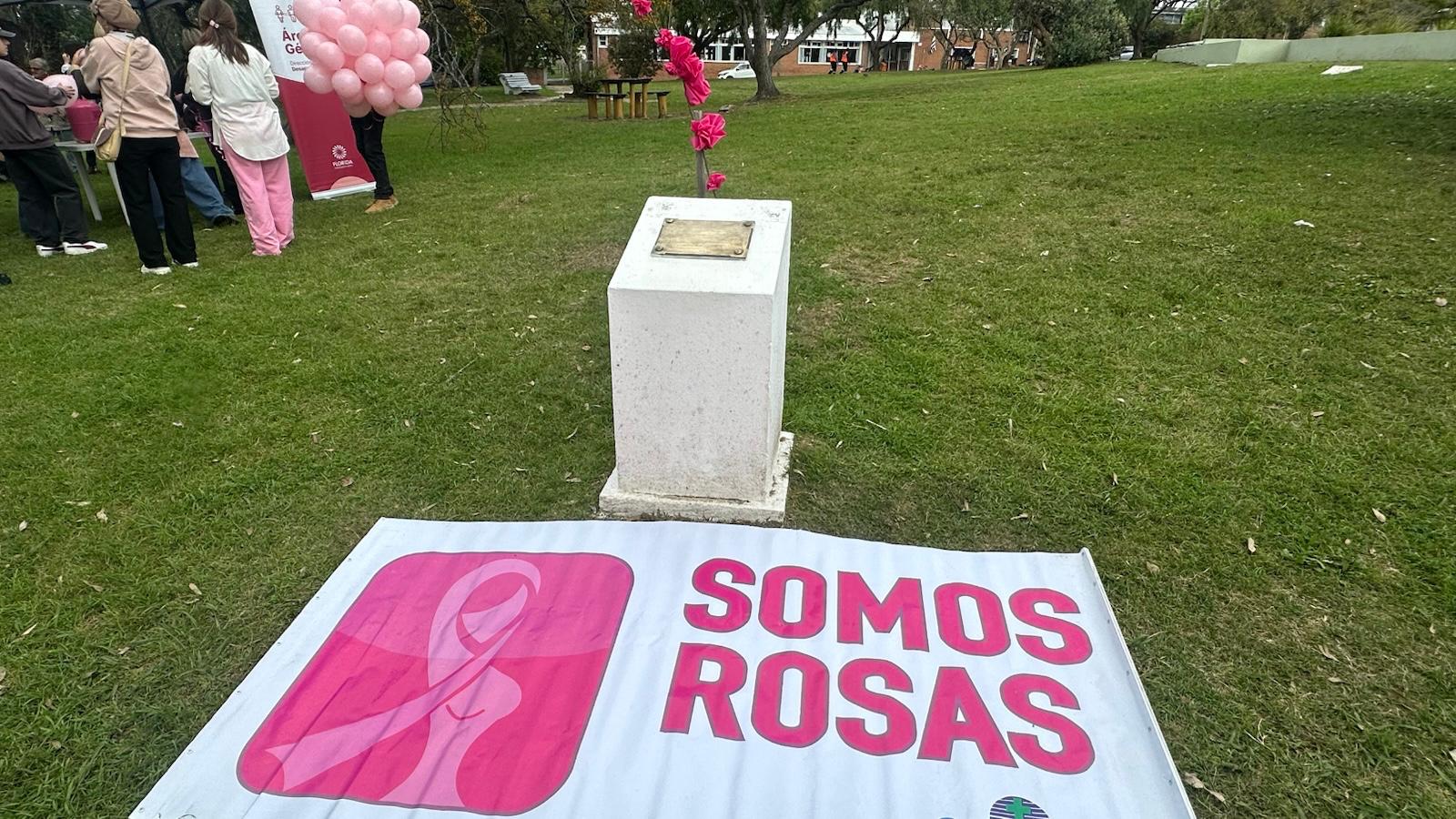 Somos_Rosas_llamó_a_prevenir_el_cáncer_de_mama_y_acompañar_a_quienes_transitan_la_enfermedad_2.jpeg