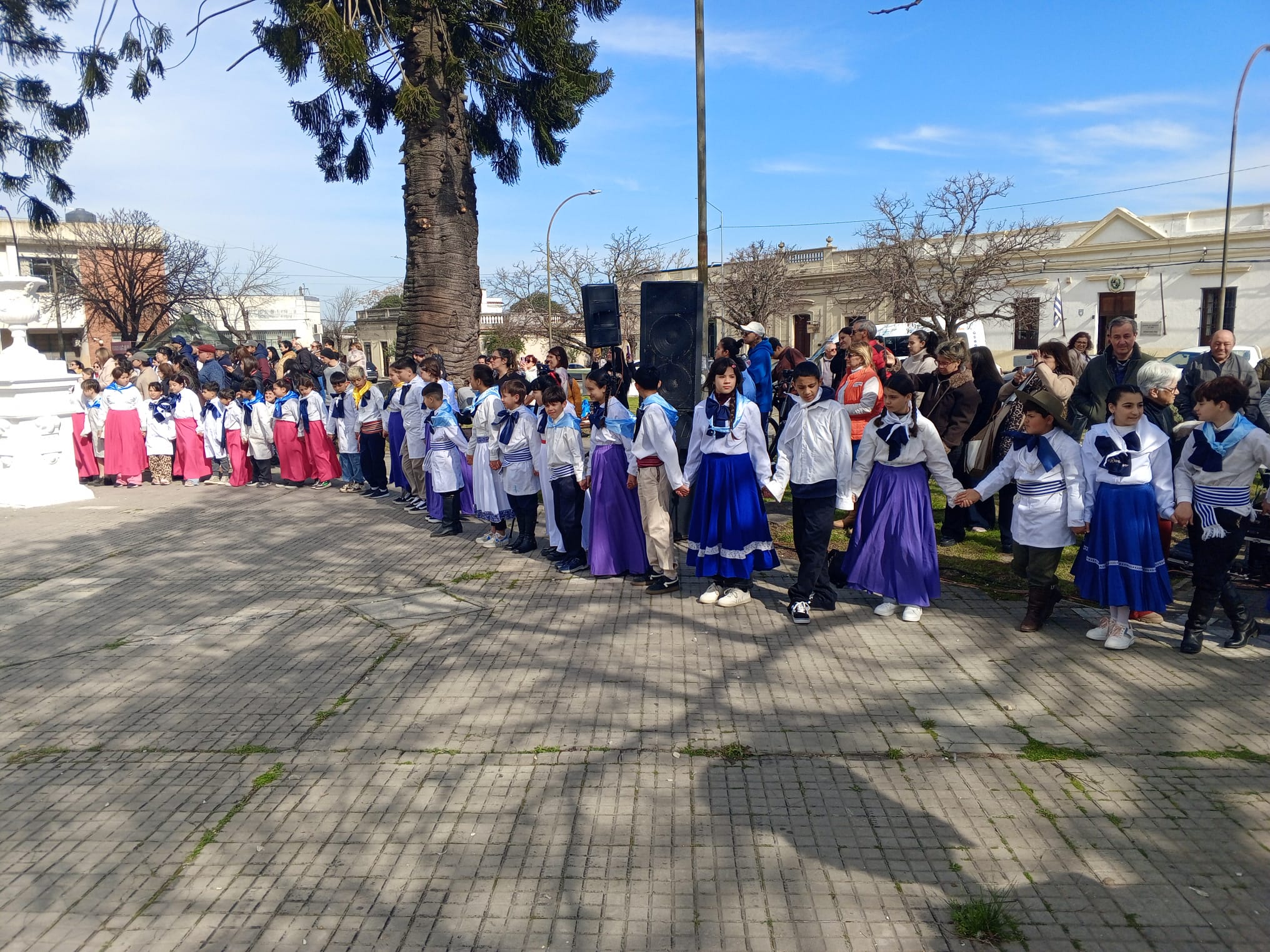 Tradición_y_Patrimonio_Periconazo_reunió_a_estudiantes_en_Plaza_Asamblea_4.jpeg