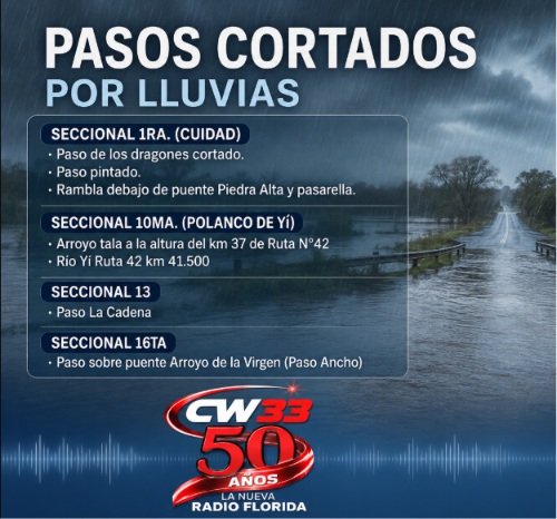 pasos_cortaados_8-8-26.jpg