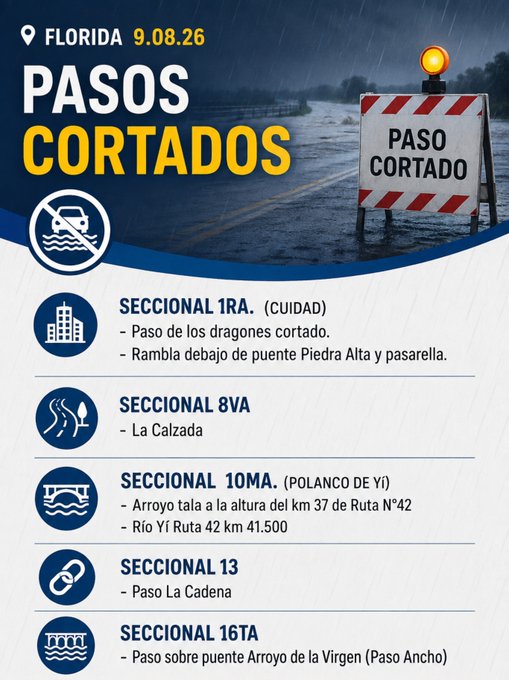 pasos_ortados_actualizacion.jpeg