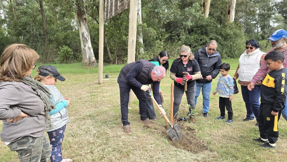plantacion_arbol.jpg