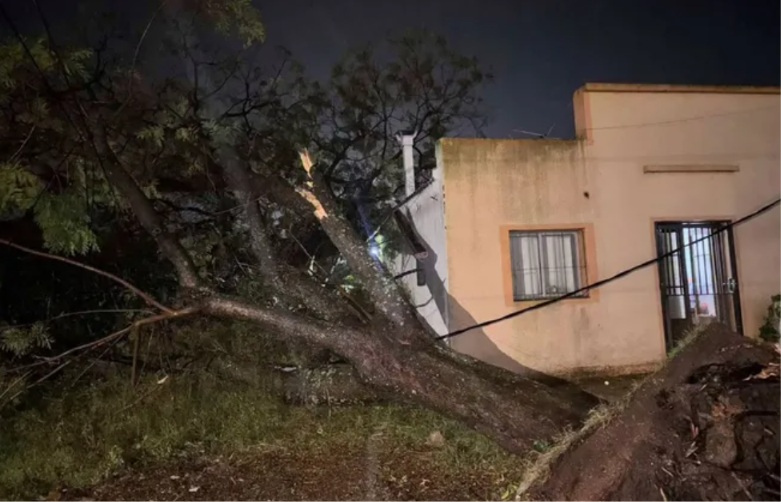 temporal_salto.jpg